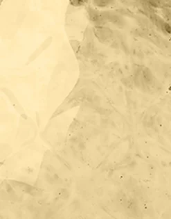 Big Egg VaseGold in Murano Glass