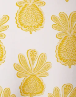 Boy BriefPineapple Sunflower White in Lycra