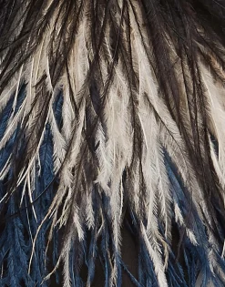 Feather SlipperSolid Black in Raso