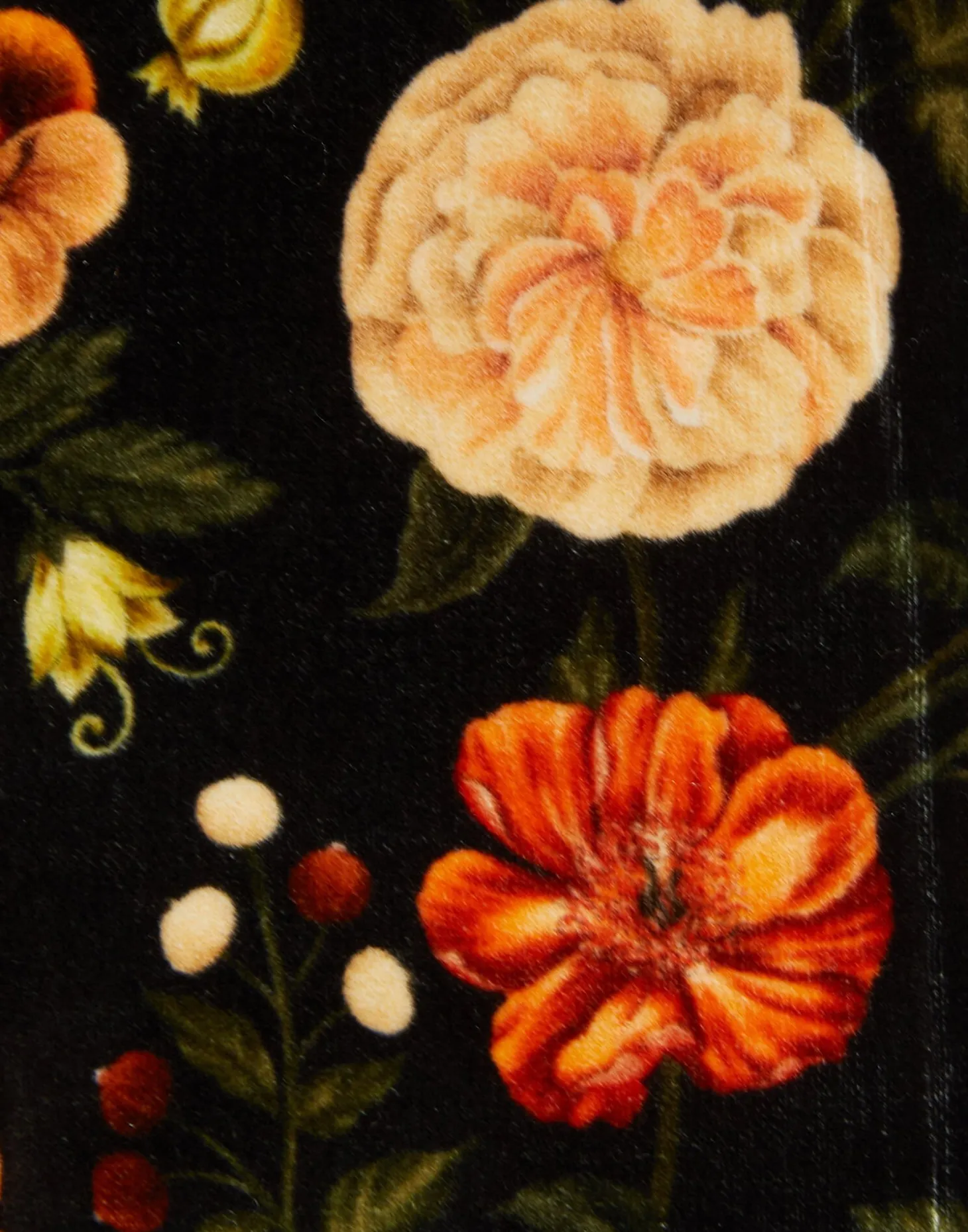 Hendrix PantsBotticelli Black in Cotton Velvet