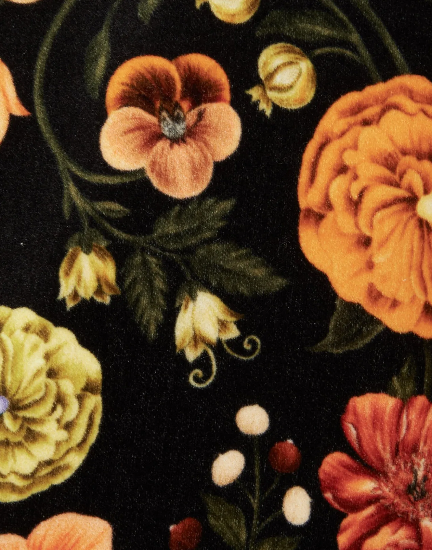 24/7 JacketBotticelli Black in Cotton Velvet