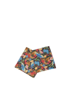 Large Napkins Set Of 2Colombo Piccolo in Linen