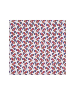 Large Napkins Set Of 2Galletti in Linen