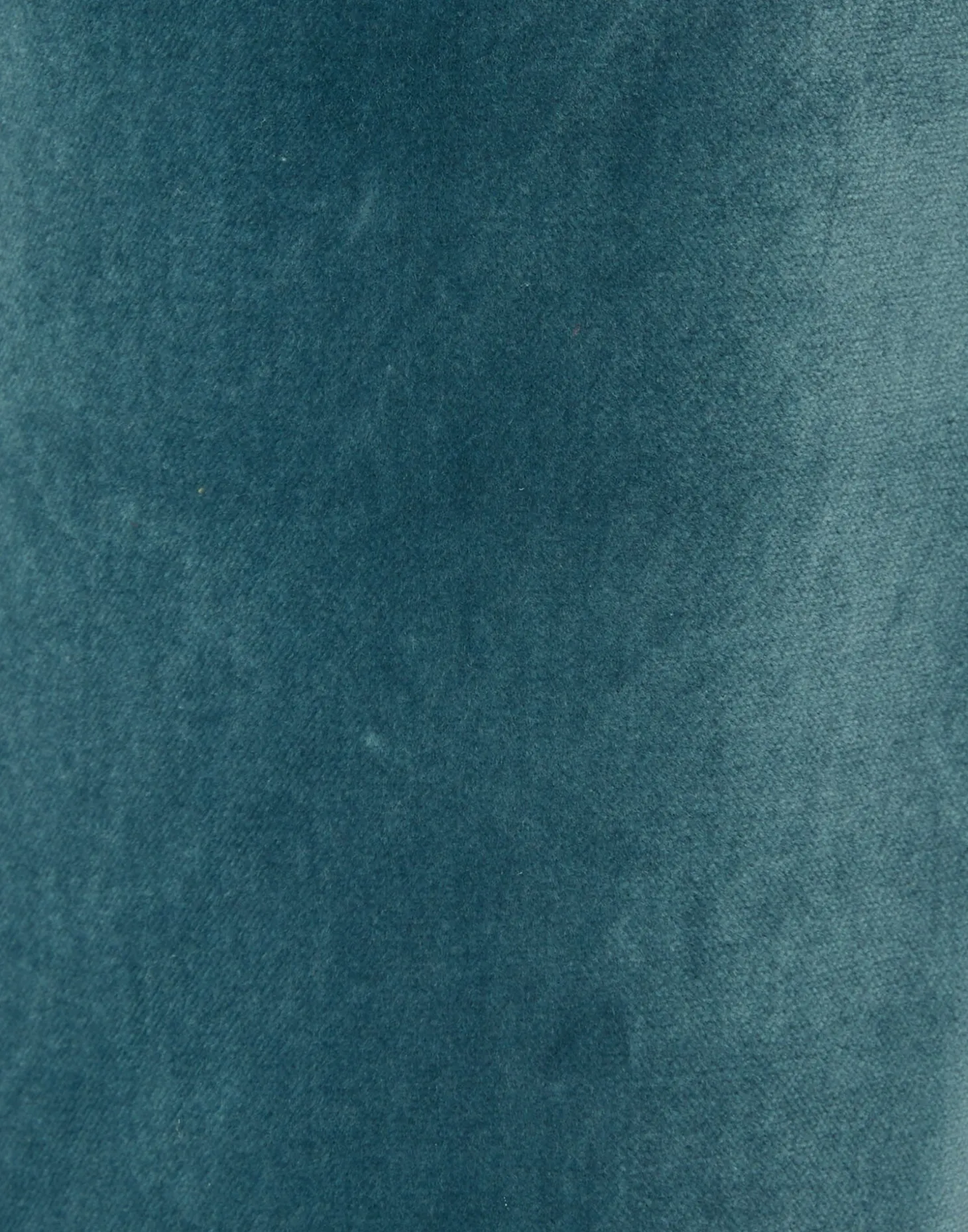 24/7 PantsLight Blue in Velvet With Feathers