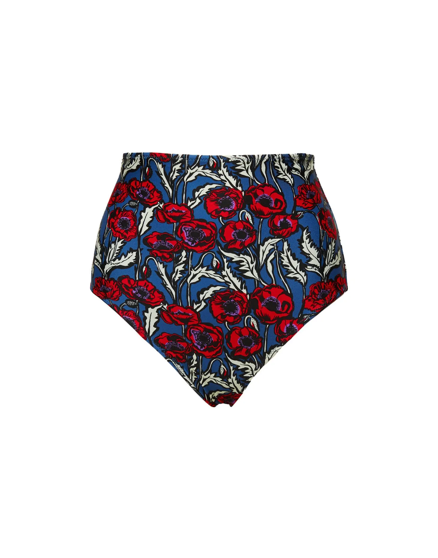 Surf BriefBlooms in Lycra