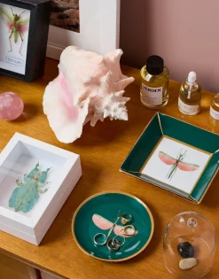 Trinket TrayLibellula Green in Porcelain